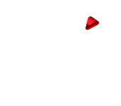 sronsky logo